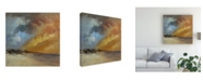Trademark Global Anne Farrall Doyle Sun Blaze Canvas Art - 15.5" x 21"
